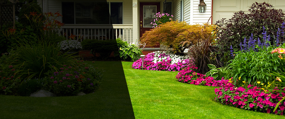 Bishopville Landscapers