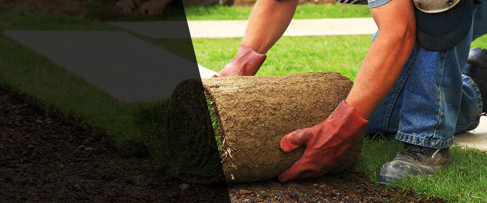 Bishopville Landscapers